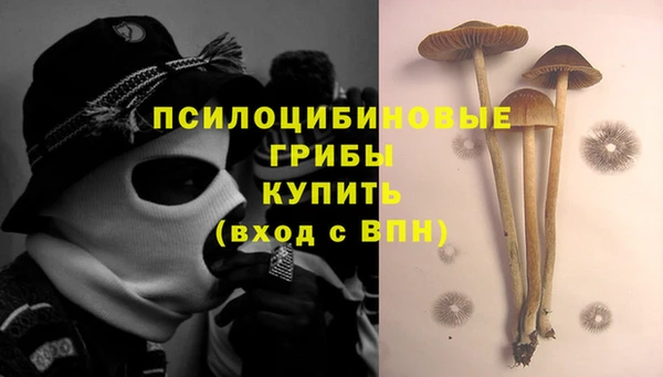 прущая мука Бронницы