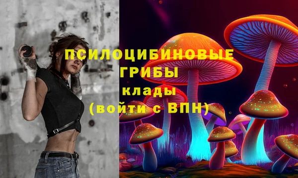 дмт Бугульма