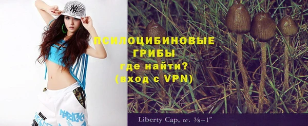 дмт Бугульма