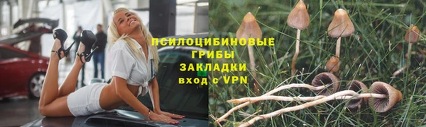 дмт Бугульма