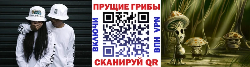 Псилоцибиновые грибы GOLDEN TEACHER  где найти наркотики  Махачкала 