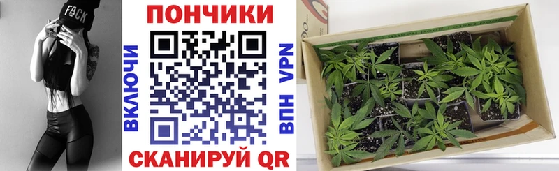 Марихуана ГИДРОПОН  Махачкала 